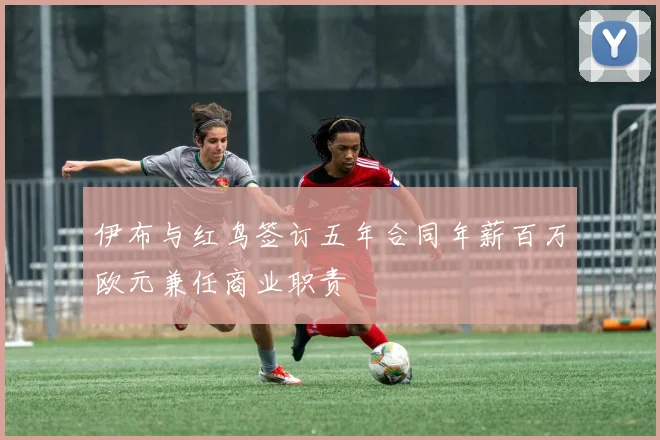 伊布与红鸟签订五年合同年薪百万欧元兼任商业职责